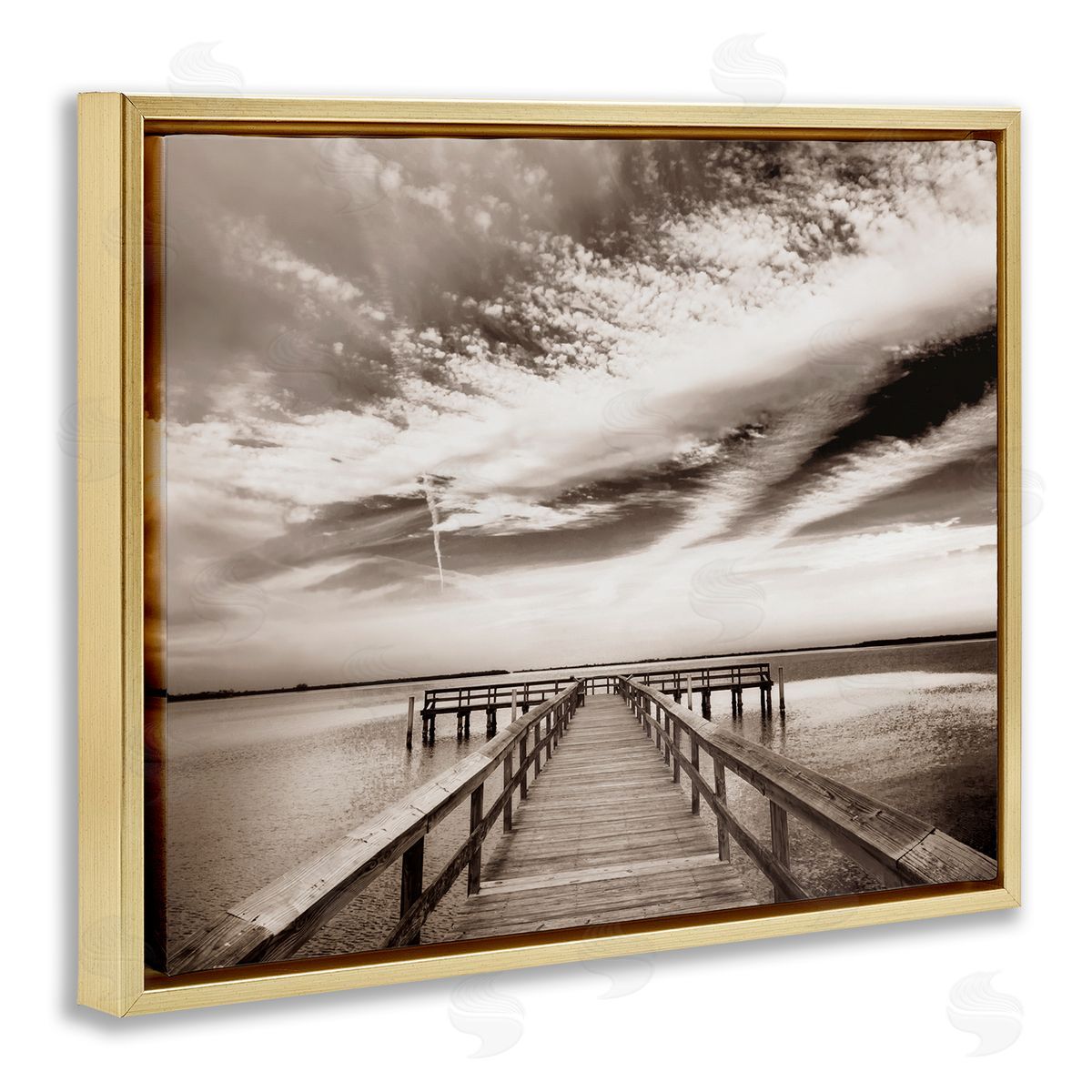 Danita Delimont Dock with Cloudy Sky Gold Floater Frame Canvas Artside_