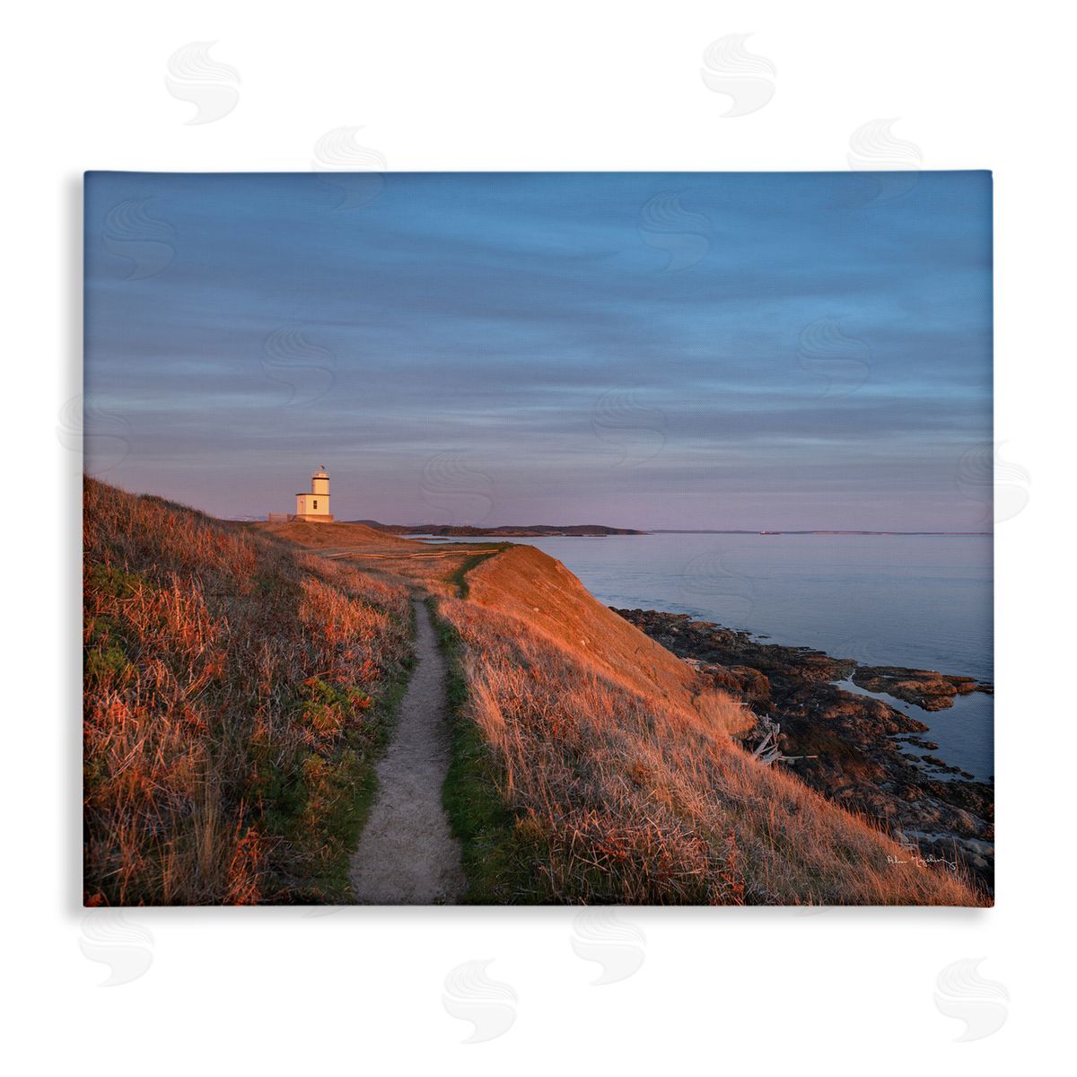 Alan Majchrowicz | Path to Lighthouse