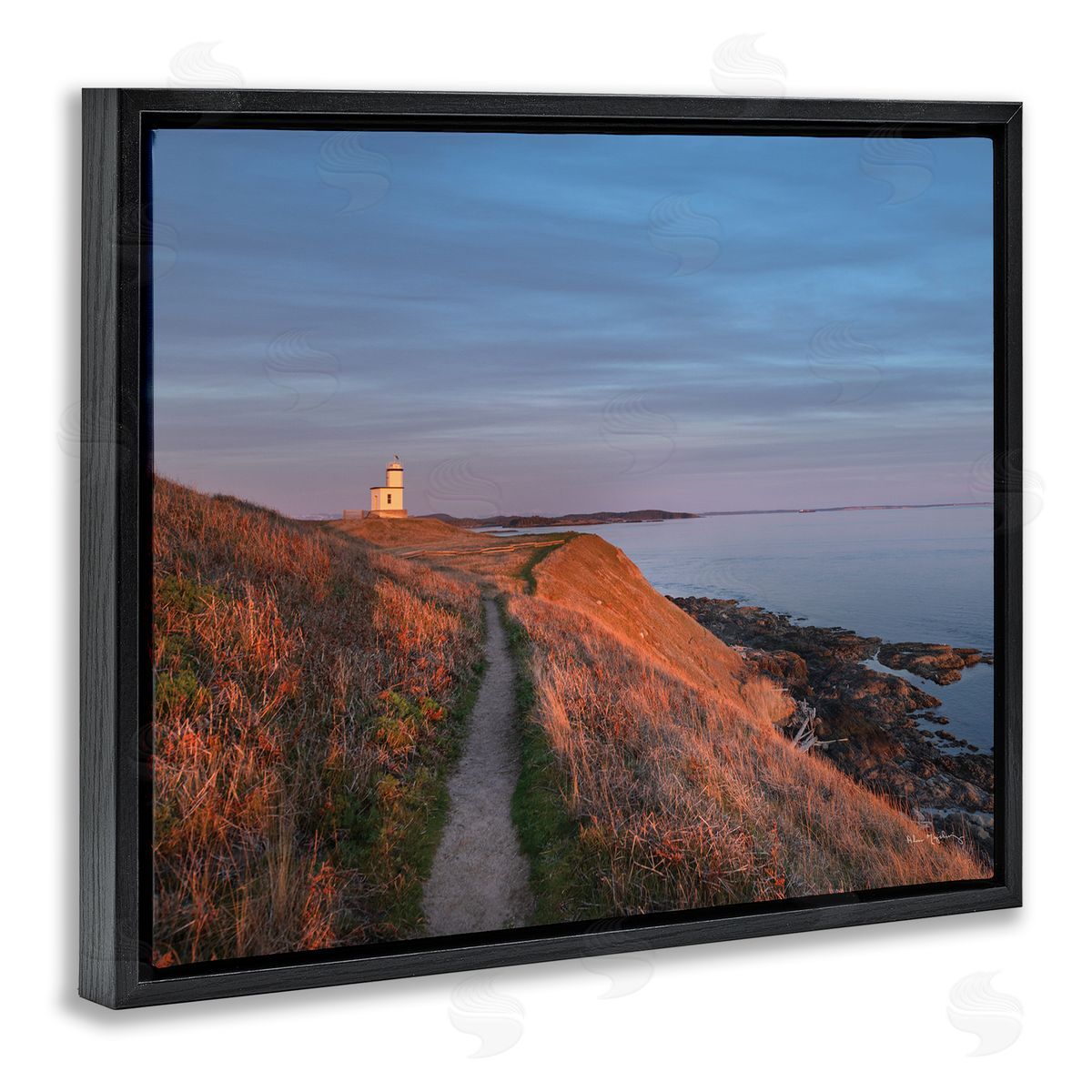 Alan Majchrowicz Path to Lighthouse Black Floater Frame Canvas Artside_