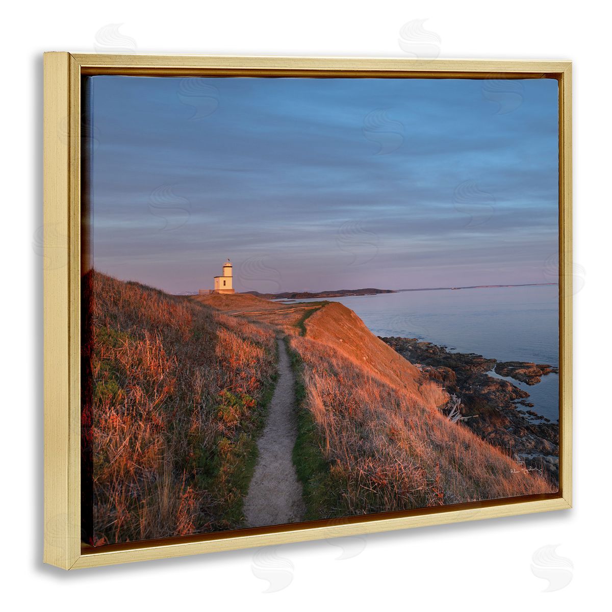 Alan Majchrowicz | Path to Lighthouse
