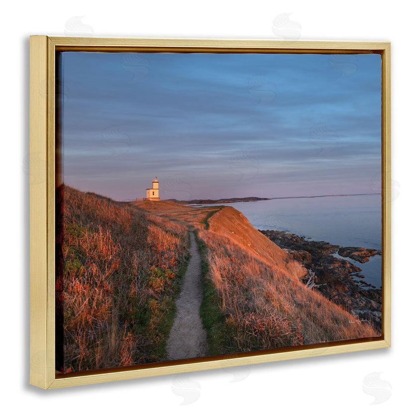 Alan Majchrowicz | Path to Lighthouse