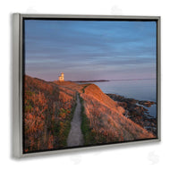 Alan Majchrowicz | Path to Lighthouse