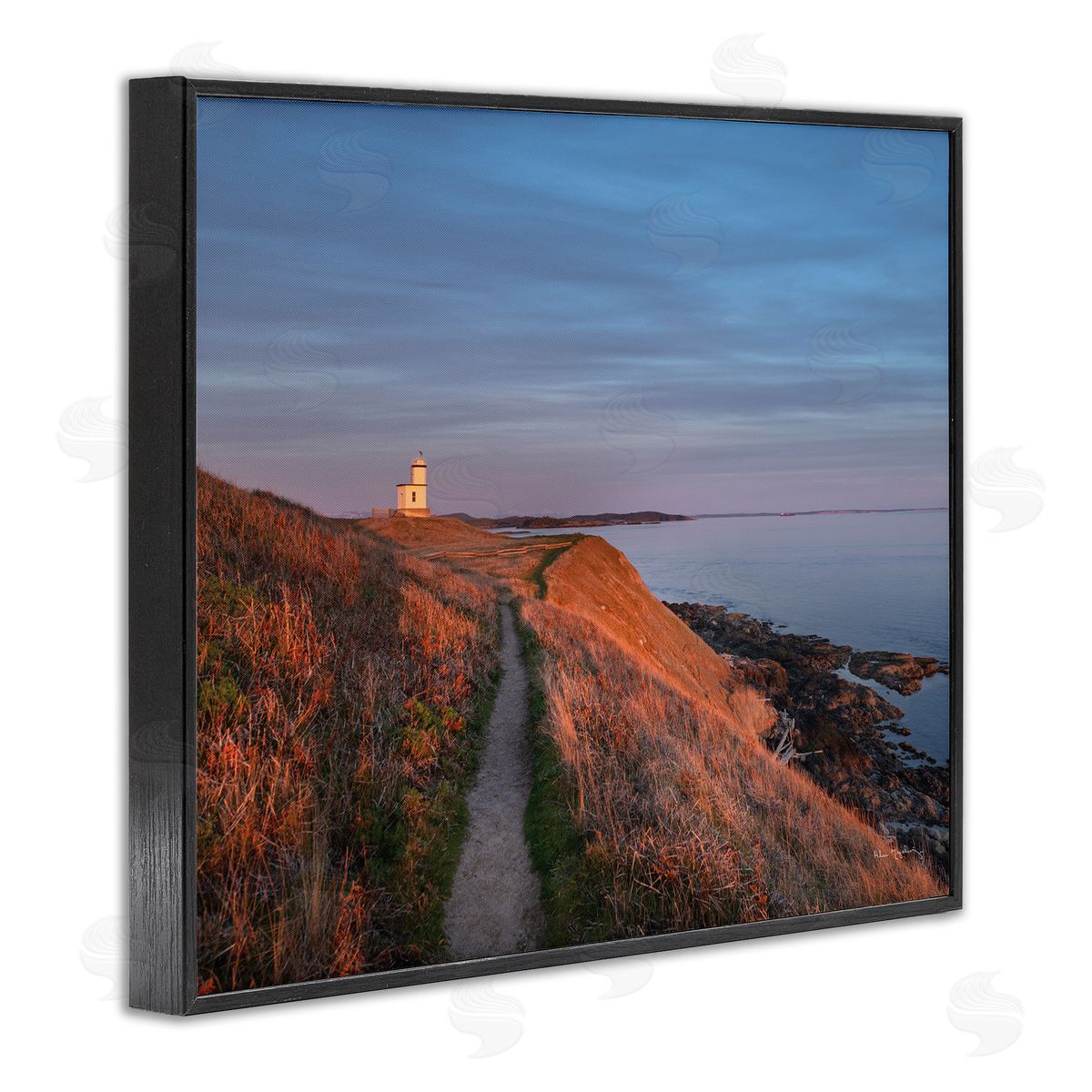Alan Majchrowicz Path to Lighthouse Black Framed Giclee Wall Artside_