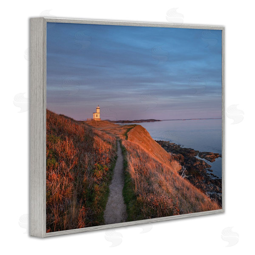 Alan Majchrowicz | Path to Lighthouse