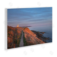 Alan Majchrowicz | Path to Lighthouse