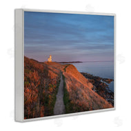 Alan Majchrowicz | Path to Lighthouse