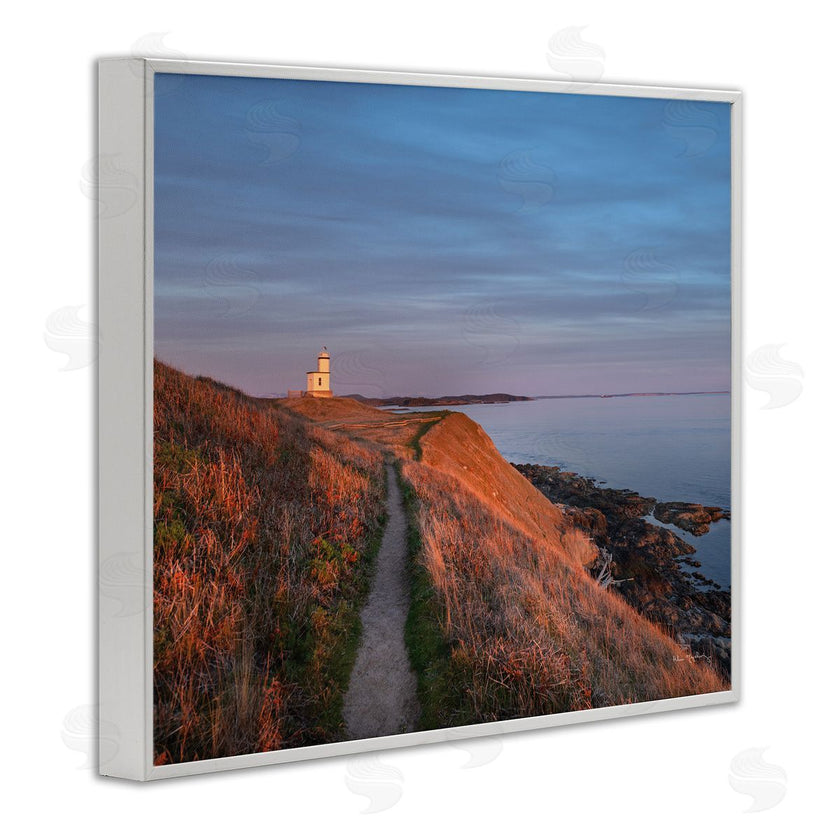 Alan Majchrowicz | Path to Lighthouse