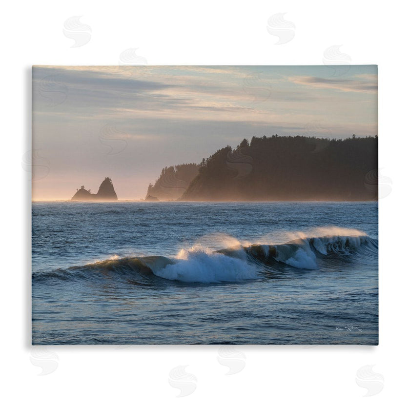 Alan Majchrowicz | Rolling Waves Photography