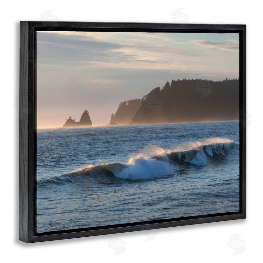 Alan Majchrowicz | Rolling Waves Photography