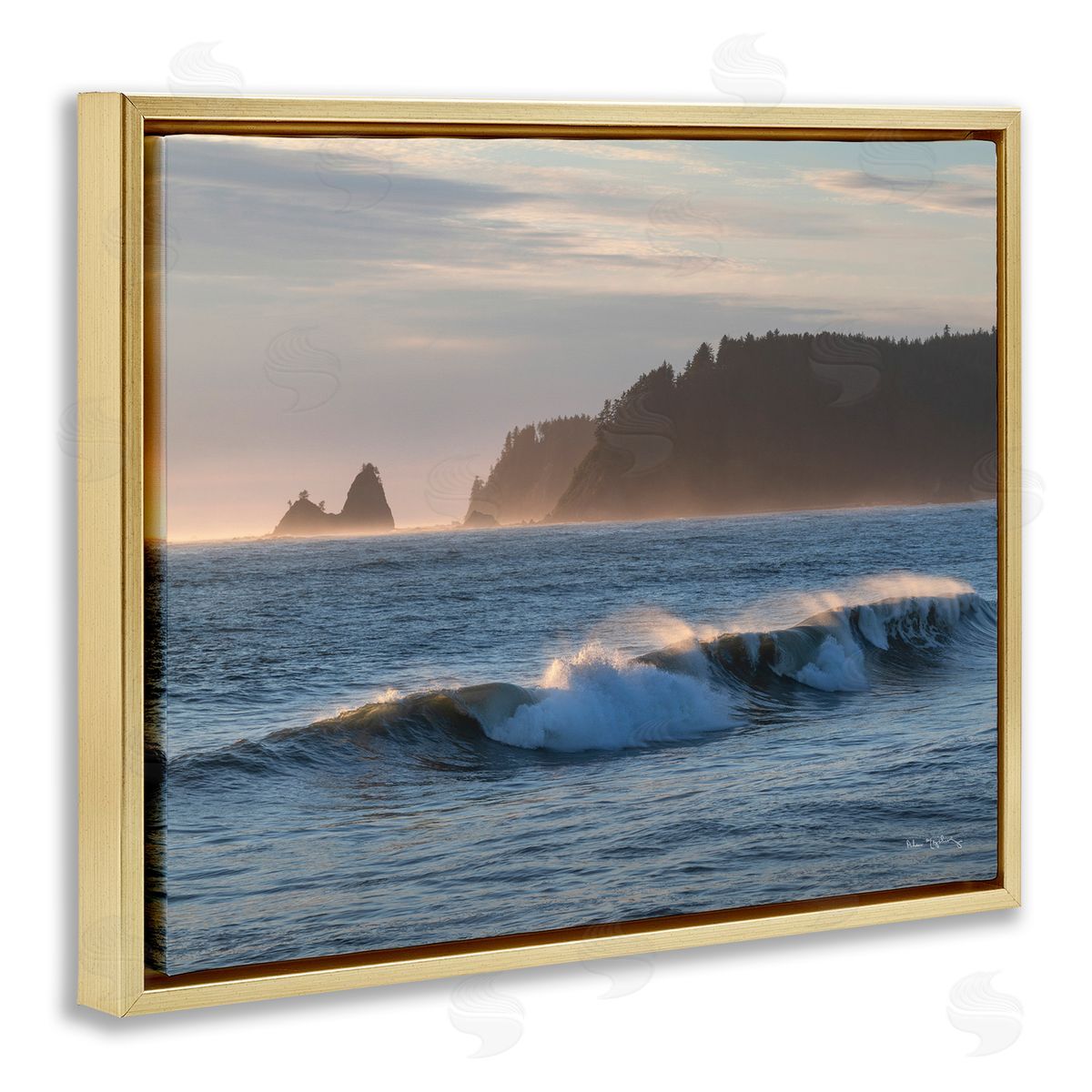 Alan Majchrowicz Rolling Waves Photography Gold Floater Frame Canvas Artside_