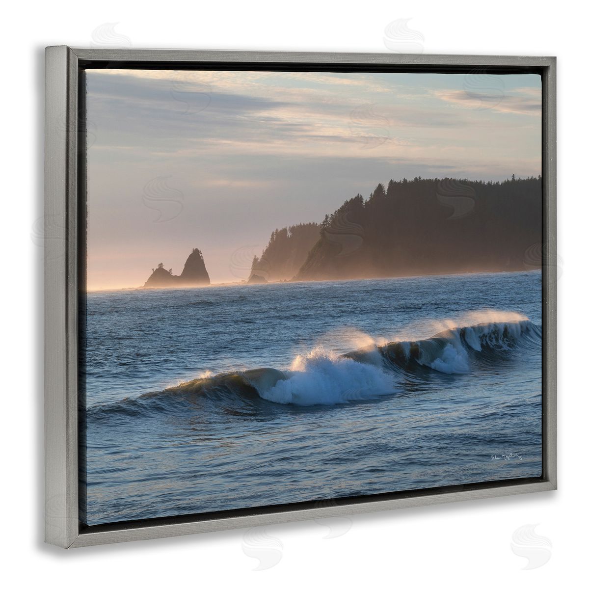 Alan Majchrowicz | Rolling Waves Photography
