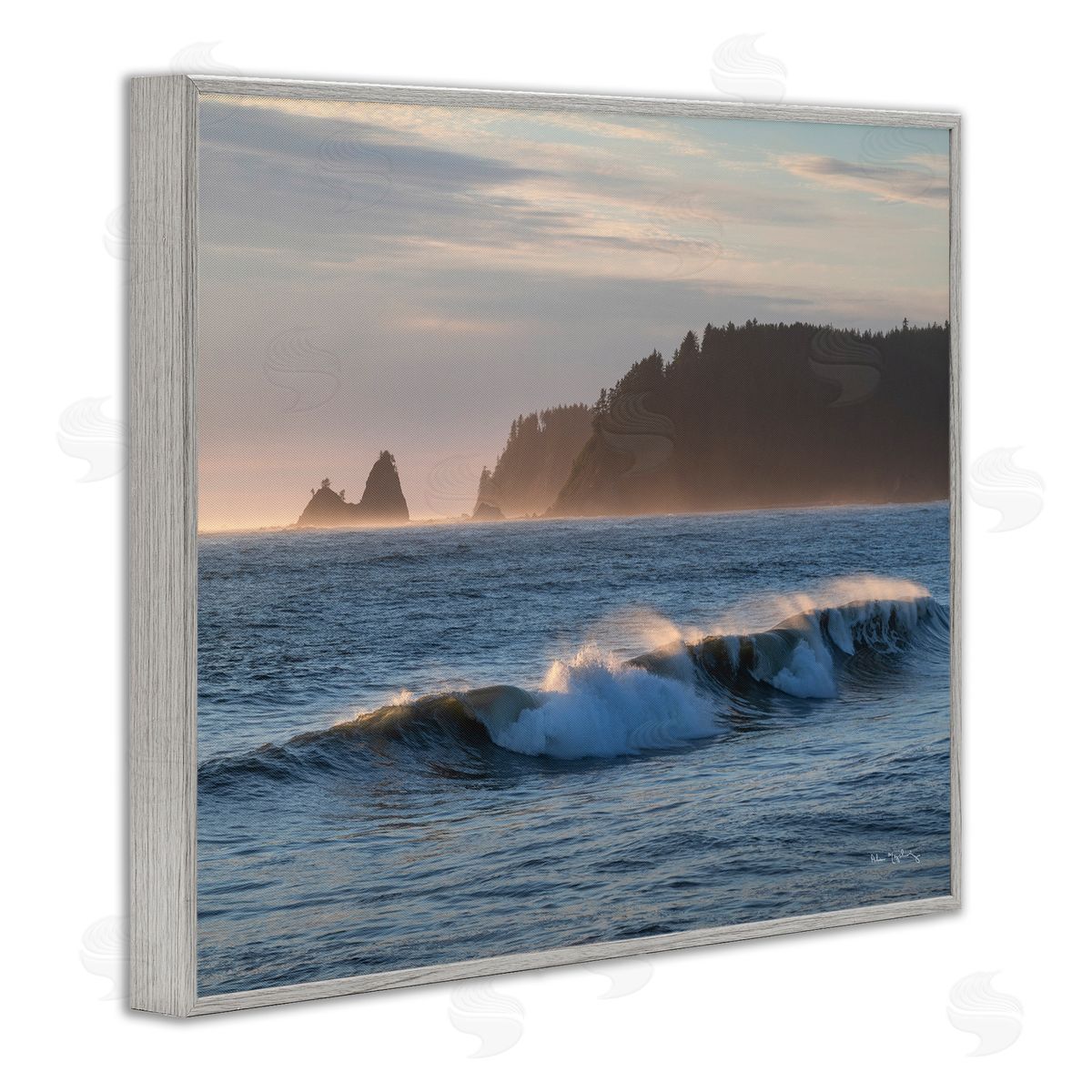 Alan Majchrowicz Rolling Waves Photography Gray Framed Giclee Wall Artside_