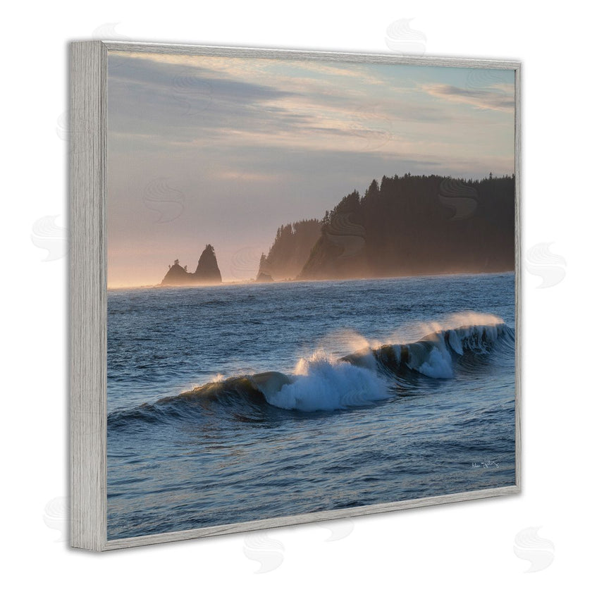 Alan Majchrowicz | Rolling Waves Photography