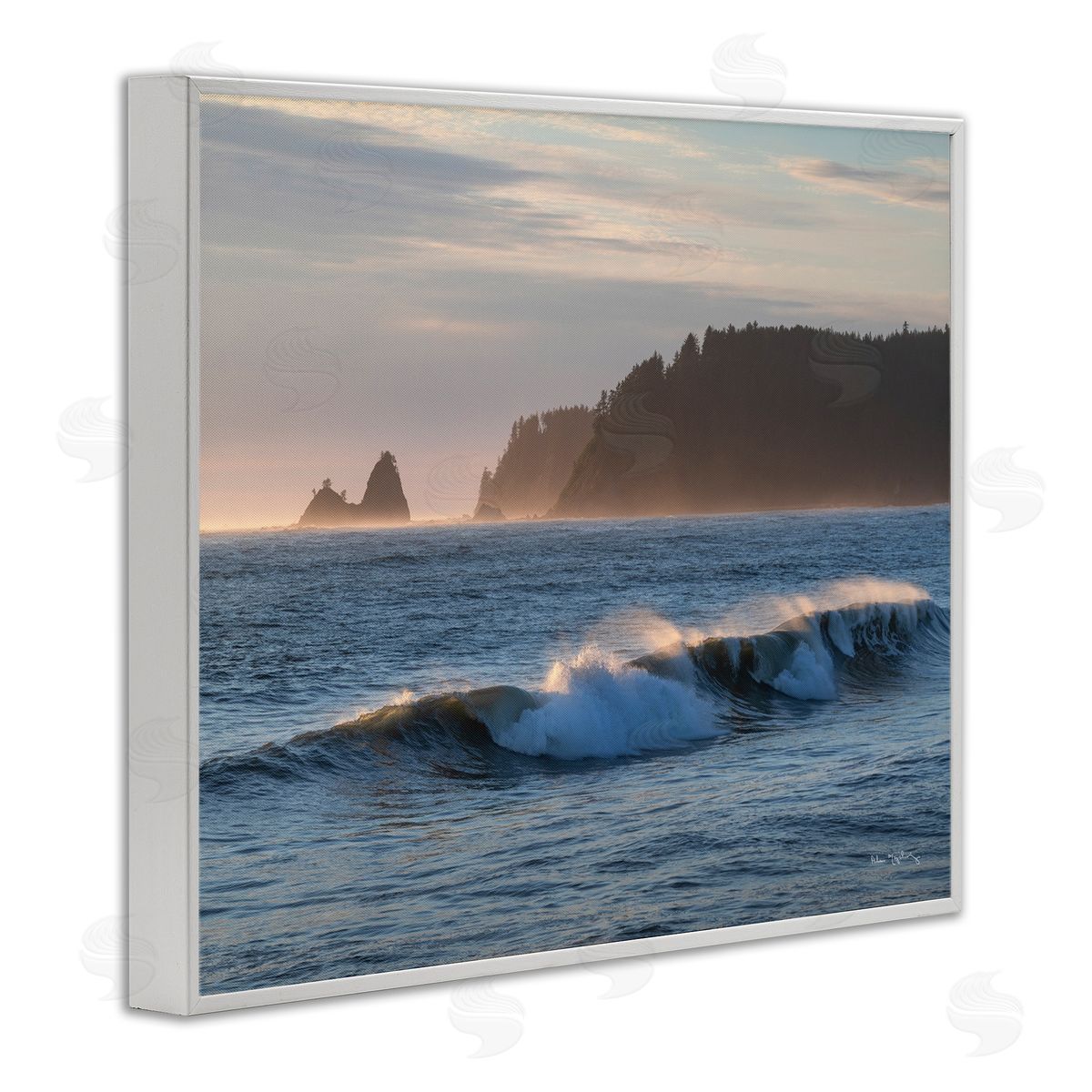 Alan Majchrowicz | Rolling Waves Photography