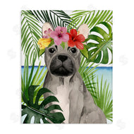 Grace Popp | Tropical French Bulldog
