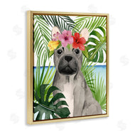 Grace Popp | Tropical French Bulldog