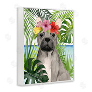 Grace Popp | Tropical French Bulldog