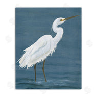 Michael Willett | Egret in Shallow Water