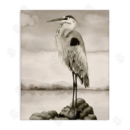 Grace Popp | Grey Heron Perched
