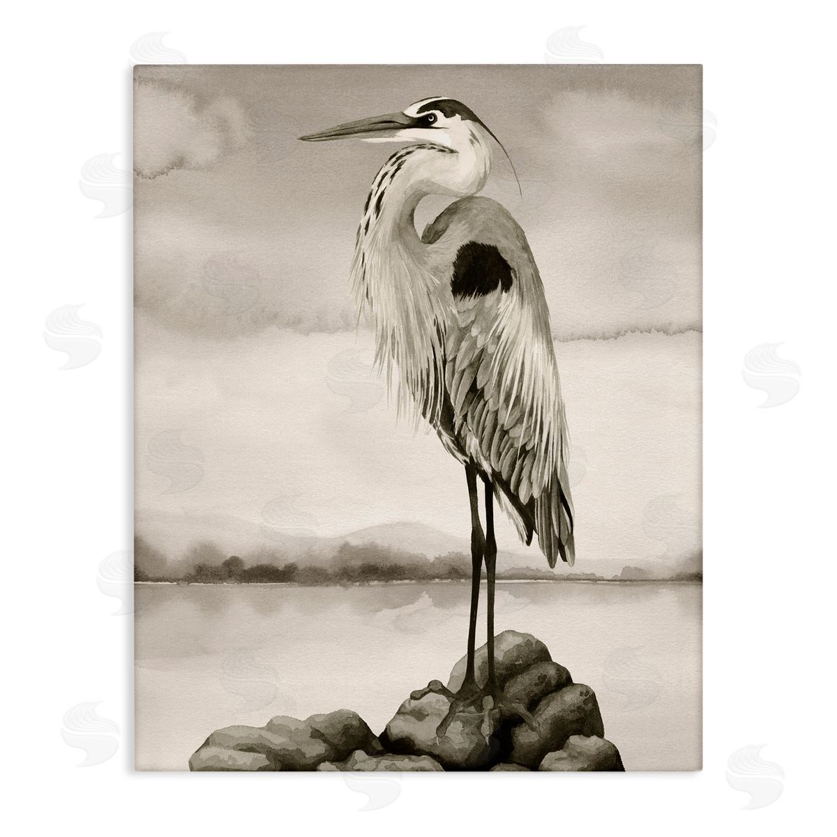 Grace Popp | Grey Heron Perched