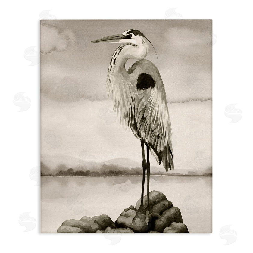 Grace Popp | Grey Heron Perched