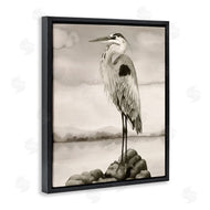 Grace Popp | Grey Heron Perched