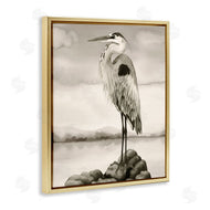 Grace Popp | Grey Heron Perched
