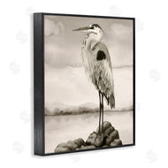 Grace Popp | Grey Heron Perched