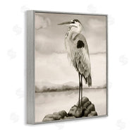 Grace Popp | Grey Heron Perched