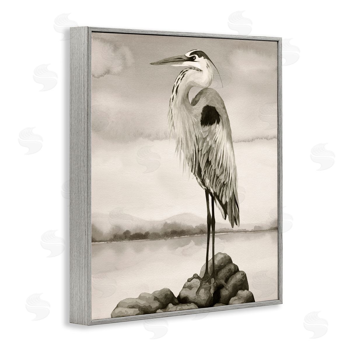 Grace Popp | Grey Heron Perched