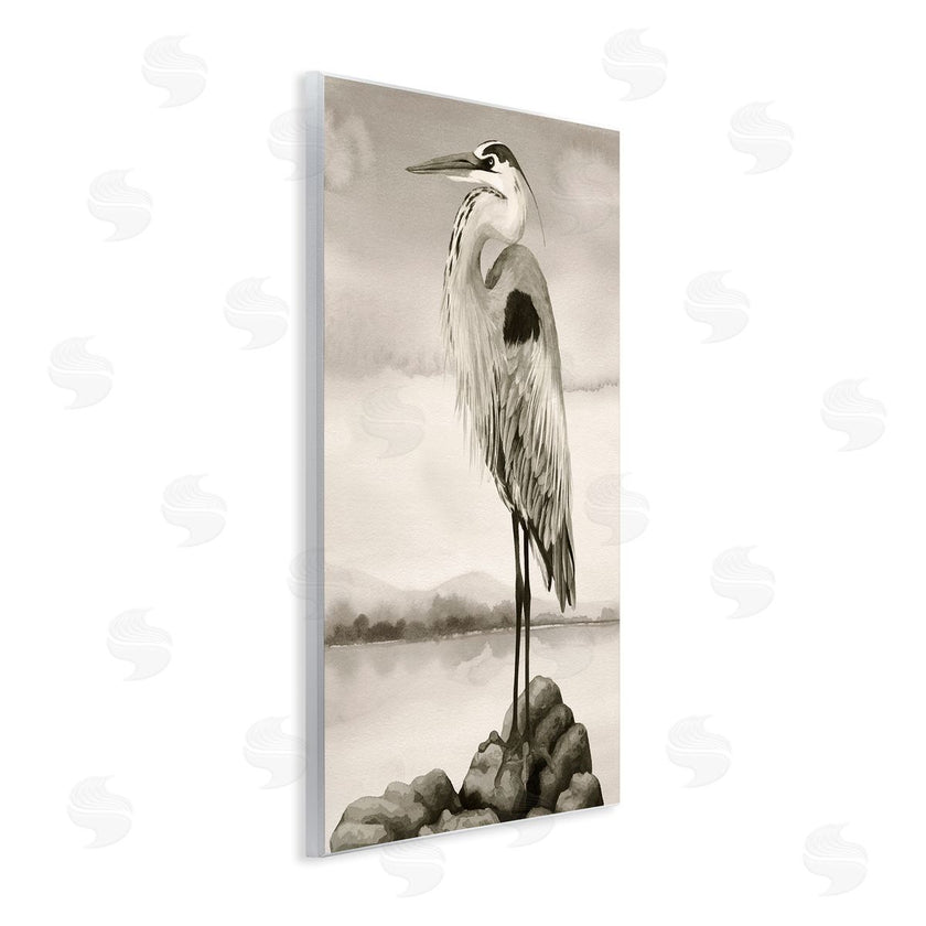 Grace Popp | Grey Heron Perched