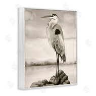 Grace Popp | Grey Heron Perched