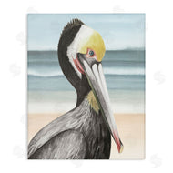 Grace Popp | Pelican Portrait on Beach
