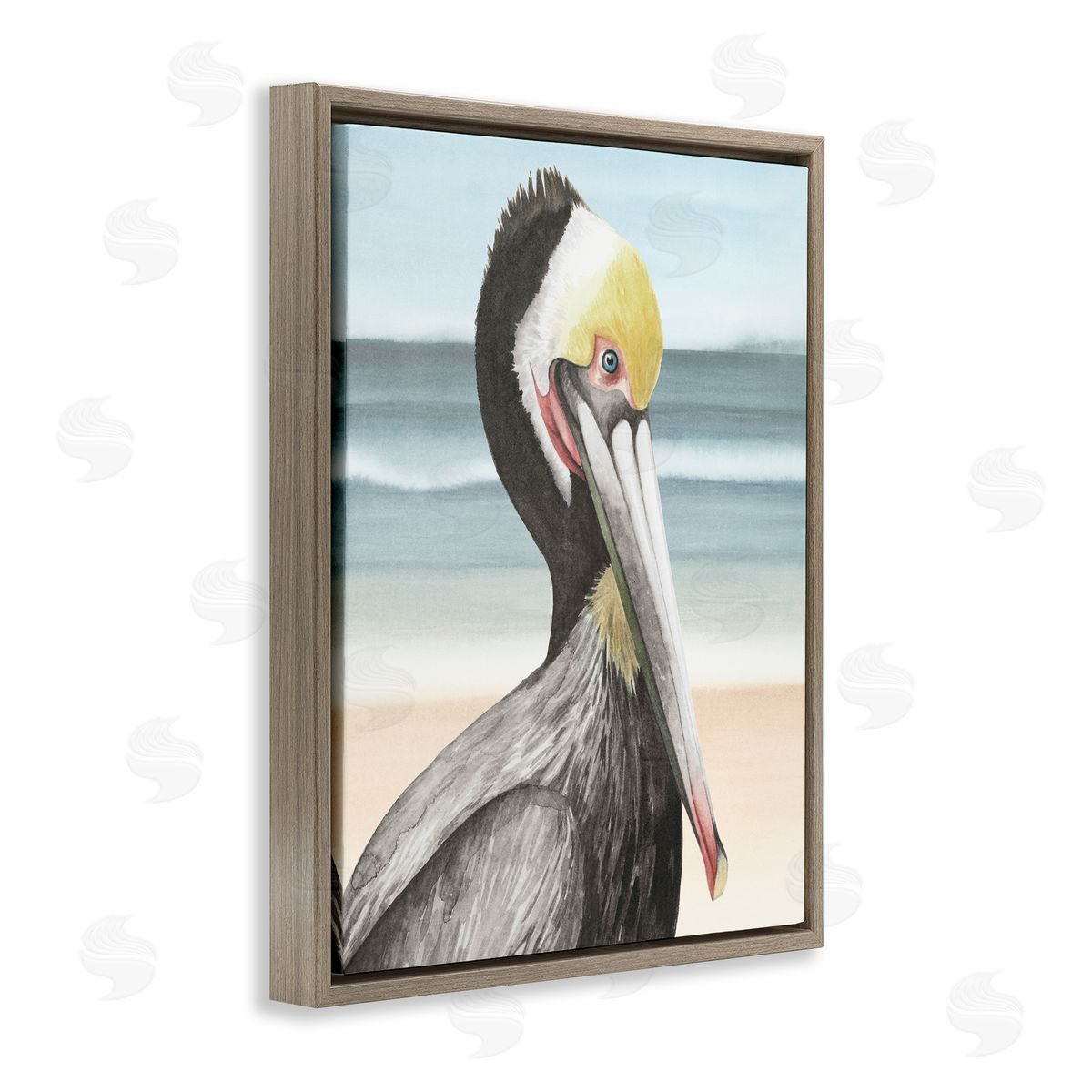 Grace Popp | Pelican Portrait on Beach
