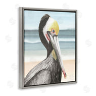 Grace Popp | Pelican Portrait on Beach