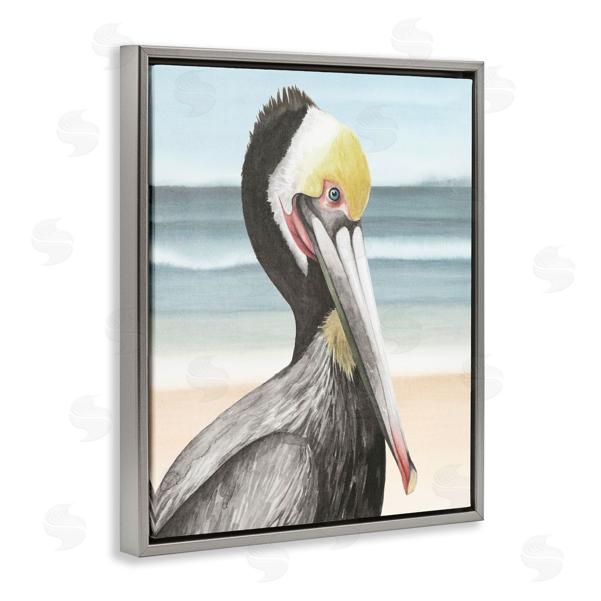 Grace Popp | Pelican Portrait on Beach