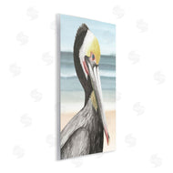 Grace Popp | Pelican Portrait on Beach