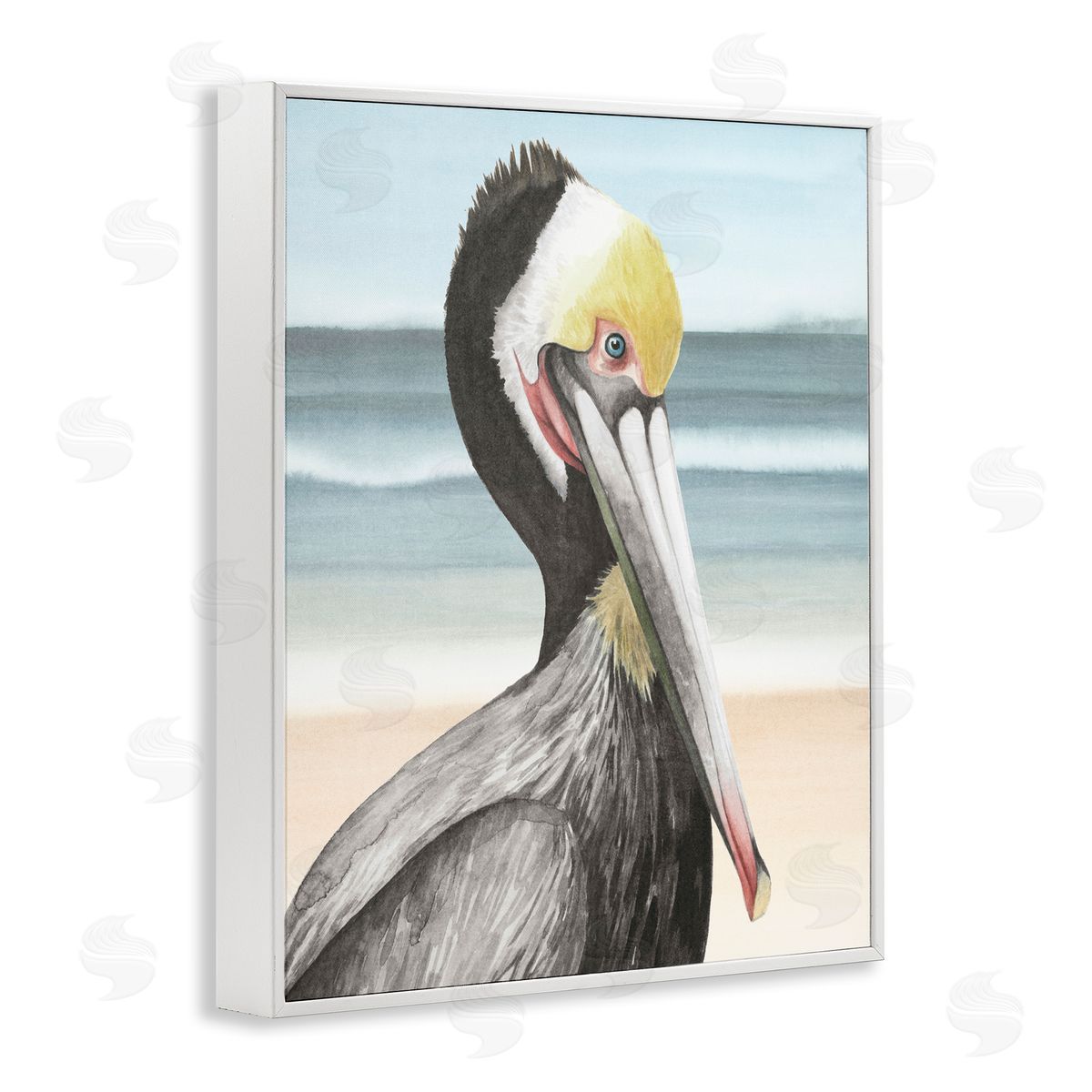 Grace Popp | Pelican Portrait on Beach