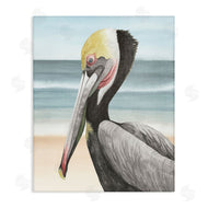 Grace Popp | Pelican & Coastal Shore