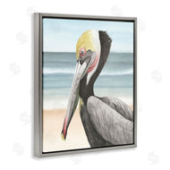 Grace Popp | Pelican & Coastal Shore