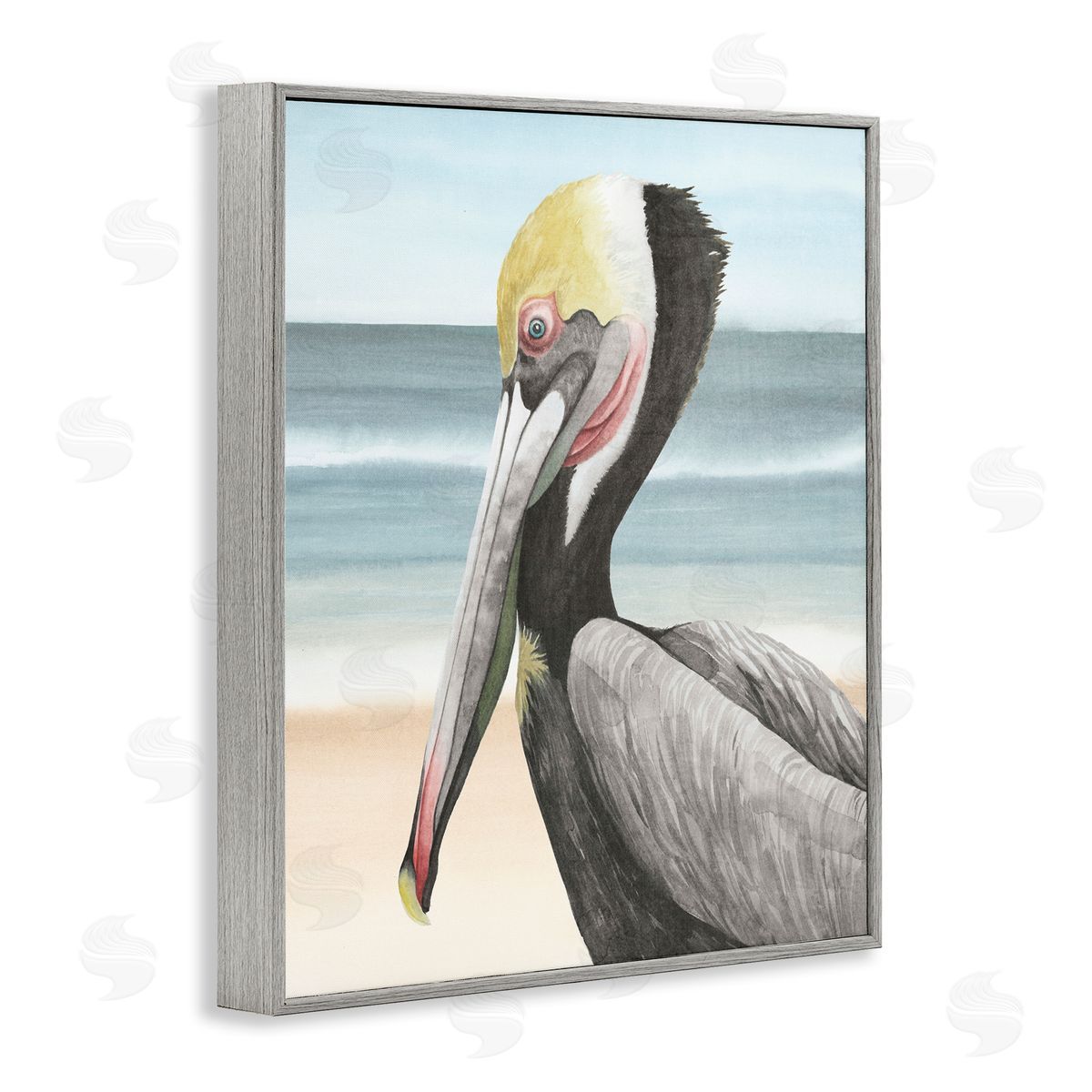 Grace Popp | Pelican & Coastal Shore