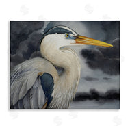 Grace Popp | Grey Heron Portrait