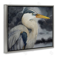 Grace Popp | Grey Heron Portrait