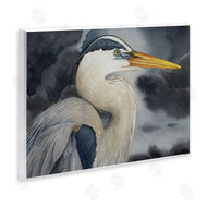Grace Popp | Grey Heron Portrait