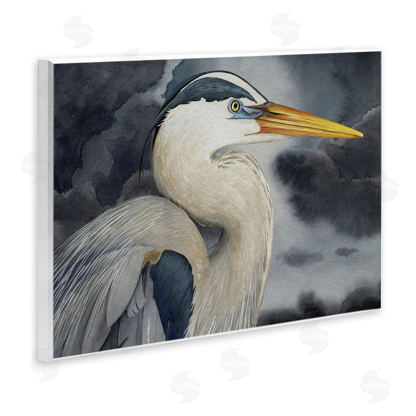 Grace Popp | Grey Heron Portrait