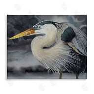 Grace Popp | Dark Heron Portrait