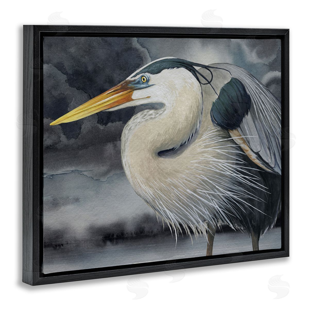 Grace Popp | Dark Heron Portrait