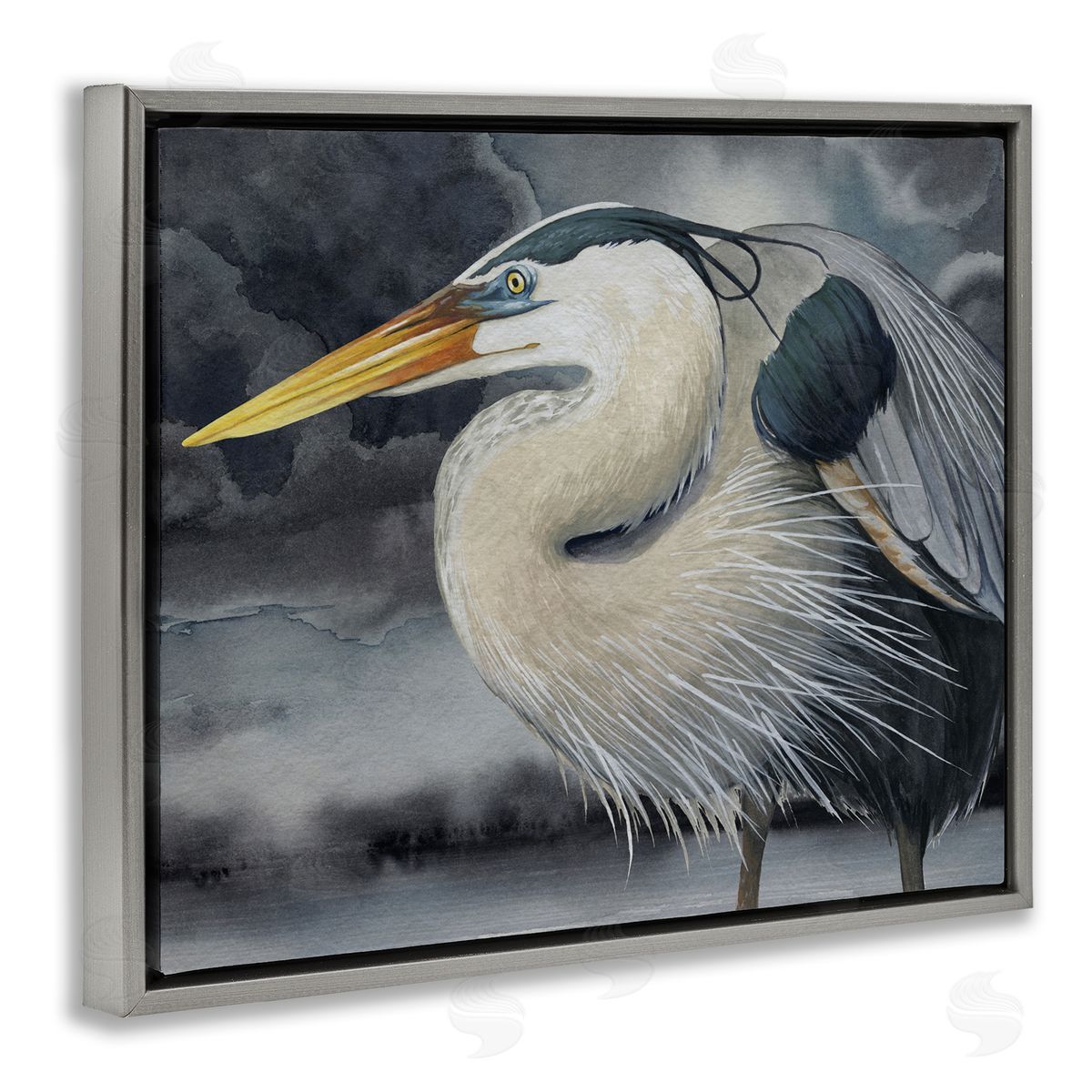 Grace Popp | Dark Heron Portrait