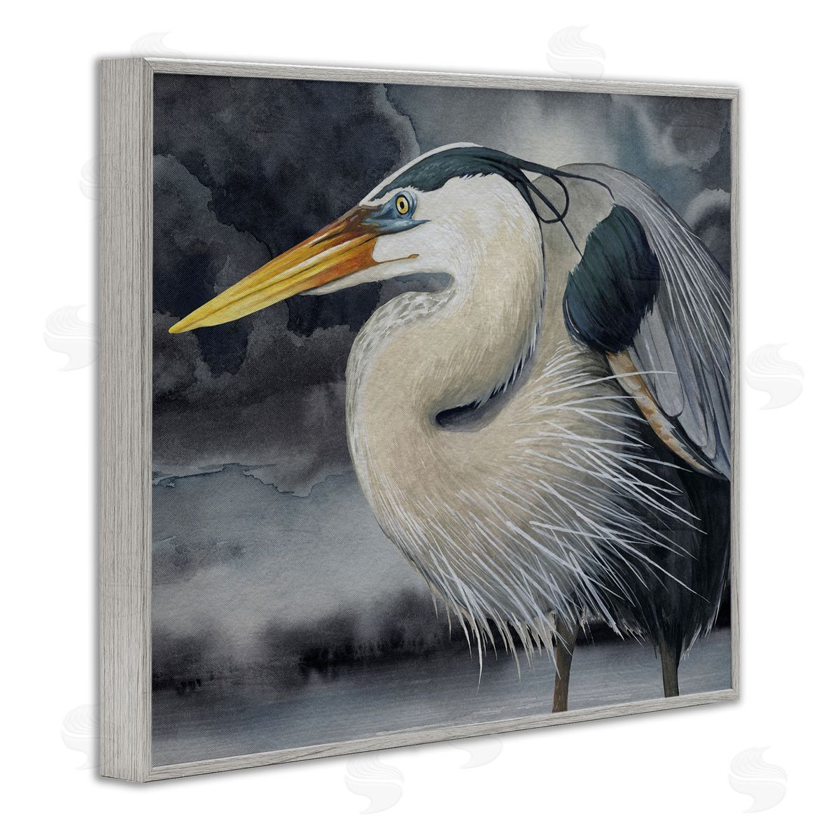 Grace Popp | Dark Heron Portrait