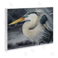 Grace Popp | Dark Heron Portrait